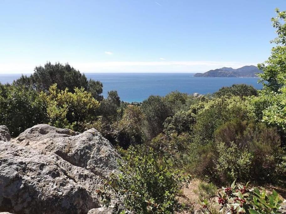 Studio Croix des Gardes Palais Plages Cannes Extérieur photo