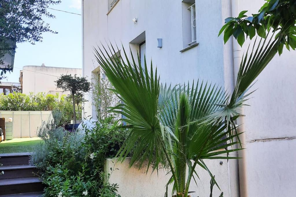 Studio Croix des Gardes Palais Plages Cannes Extérieur photo